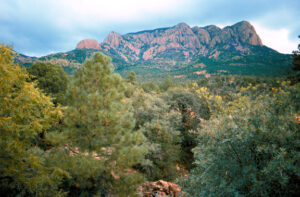 Discovering the Natural Majesty: A Glimpse into the Cibola National Forest - Photo Source