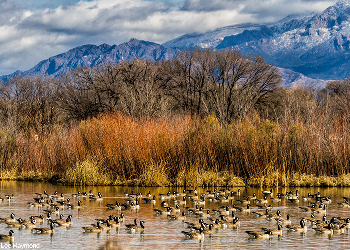 Exploring the Beauty of Nature: A Journey through Rio Grande Nature Center State Park - Photo Source